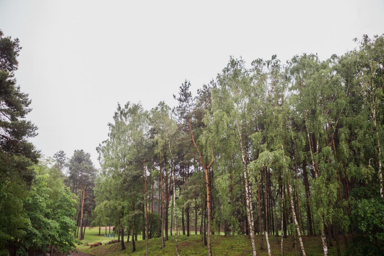 Apartament Iwona Kobyla Gora Bagian luar foto